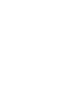 業界実績 No.1